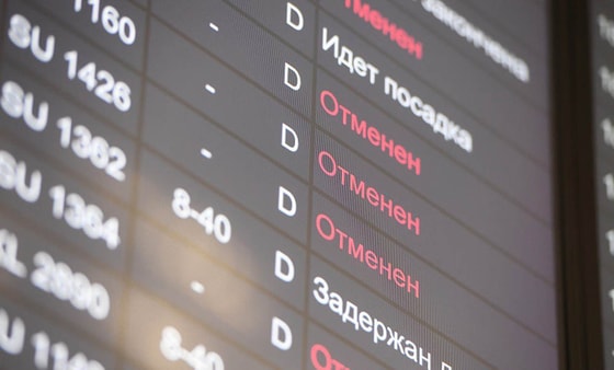 Фото: Открытые источники