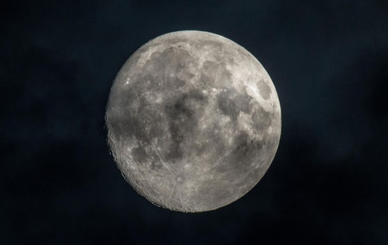 Фото: РИА Новости