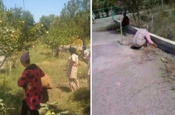 Кадры из видео