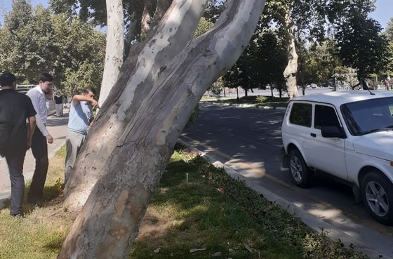 Фото: Управление экологии Самаркандской области