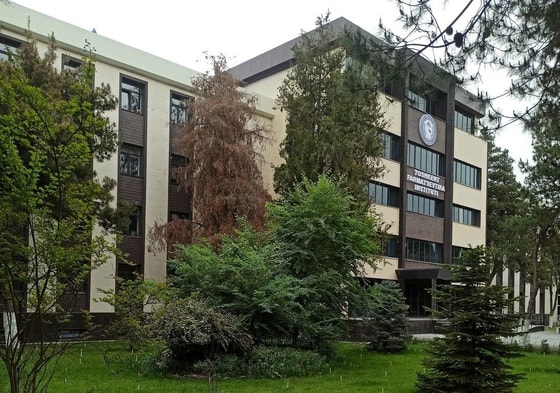 Фото: Яндекс