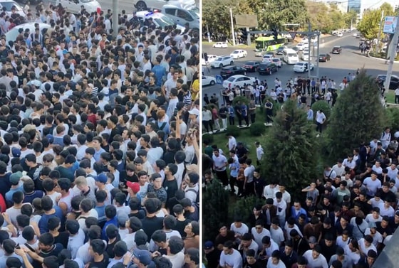 Кадры из видео / Telegram