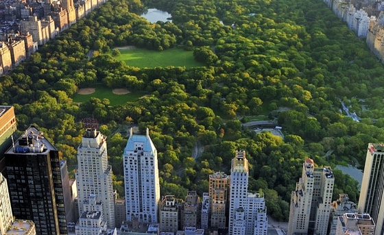 Фото:&nbsp;images.squarespace-cdn.com