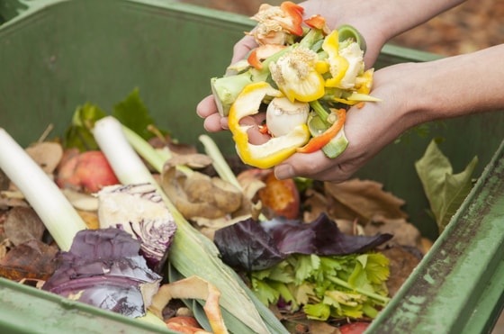 Фото: Открытые источники