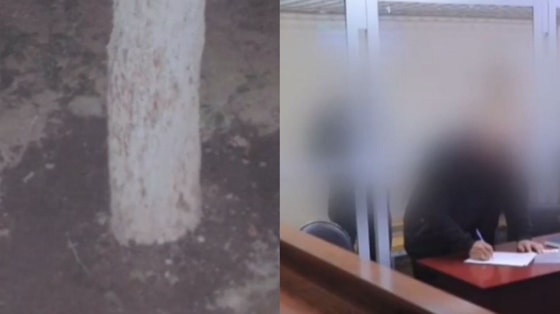 Кадры из видео