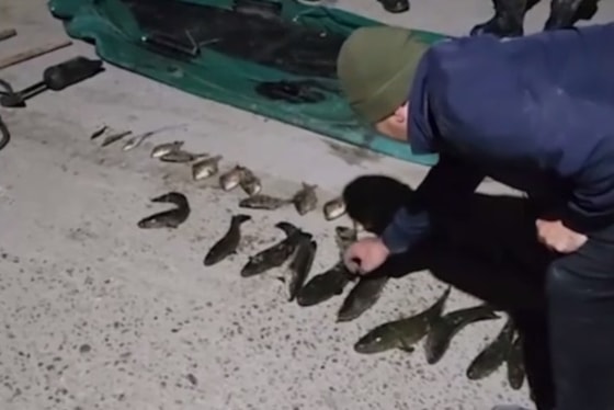 Кадр из видео