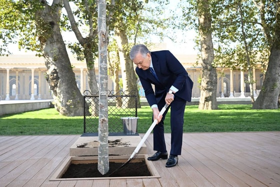 Фото: Пресс-служба президента