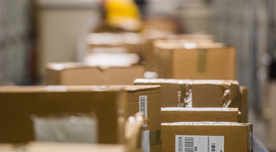 Фото: Getty Images