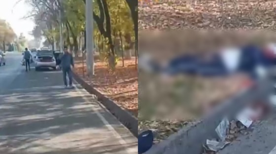 Кадры из видео