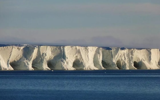 Фото: ААНИИ