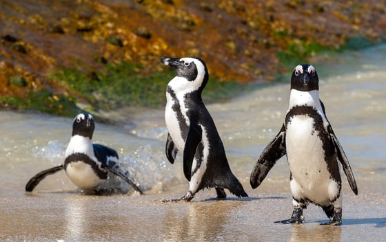 Фото: Shutterstock