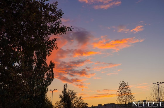 Фото: Repost.uz