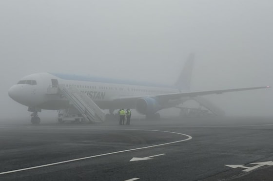 Фото: Открытые источники