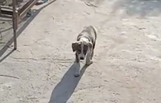 Кадр из видео