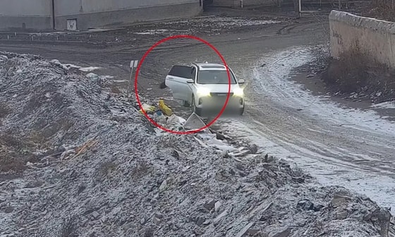 Фото: Агентство&nbsp;по управлению отходами и развитию циркулярной экономики