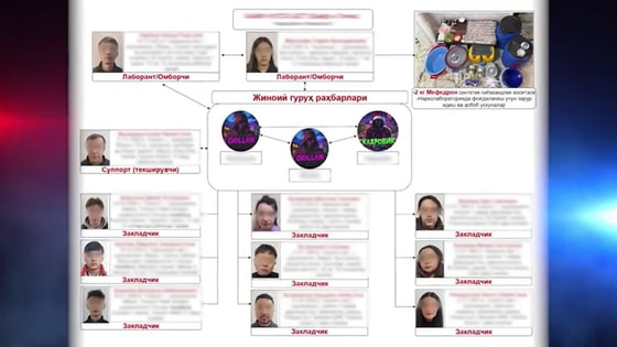 Кадр из видео