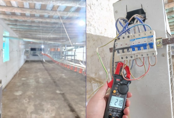 Фото: Узэнергоинспекция