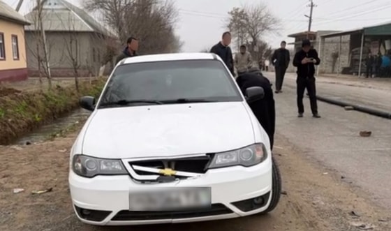 Кадр из видео