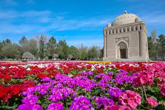 Фото: Пресс-служба президента