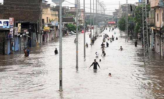 Ситуативное фото / CNN