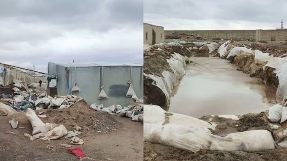 Кадры из видео