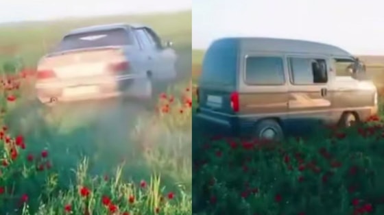 Кадры из видео