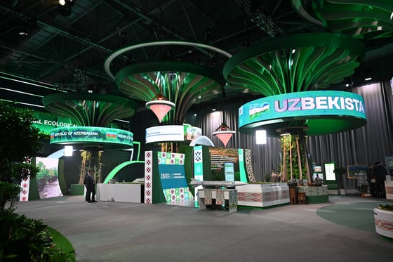 Фото: Пресс-служба президента