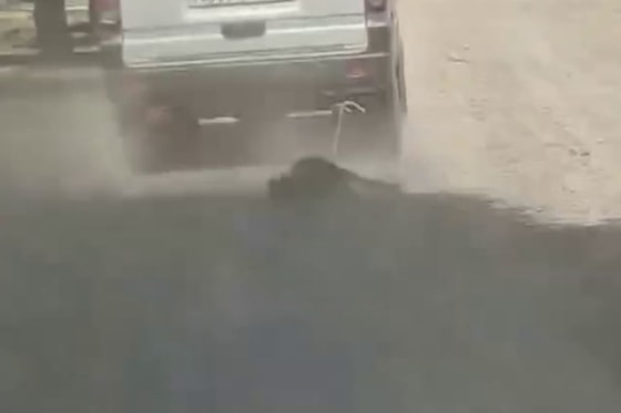 Кадр из видео