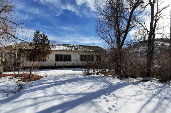 Фото:&nbsp;e-auksion.uz