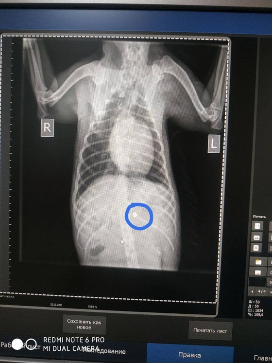 Фото: Mehr va Oqibat