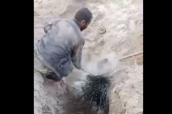 Кадр из видео