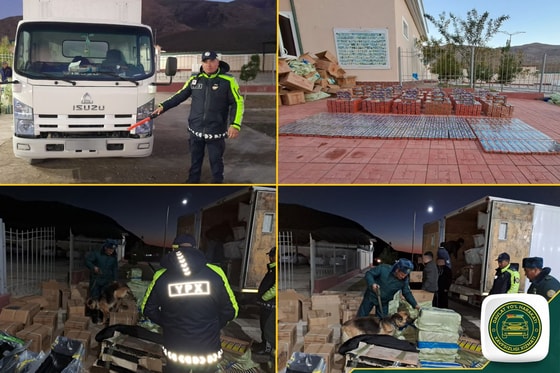 Foto: Yo'l harakati xavfsizligi matbuot xizmati