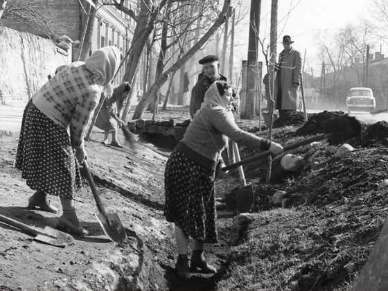 Toshkent shahrida joylashgan ko'chalardan birida o'tkazilgan "shanbalik". 1960-yillar