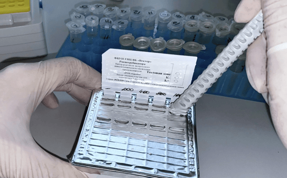 Фото:&nbsp;«Вектор»