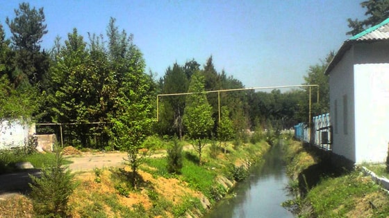 Канал Аккурган, Ташкент, 2020 г., фото: открытый источник