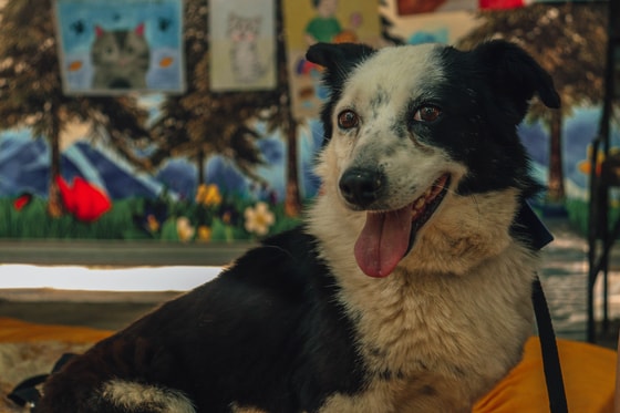 Фото: Авакян Маргарита / Repost.uz