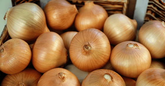 Фото: Ekonomist.kg