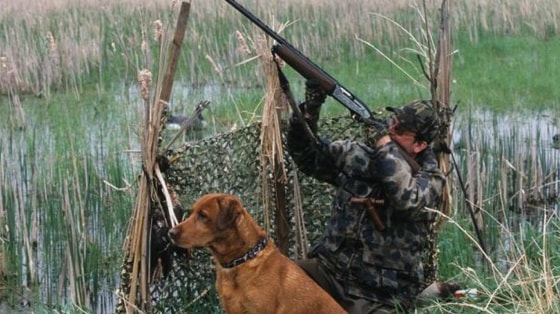 Фото:&nbsp;norma.uz