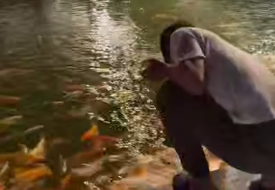 Кадр из видео