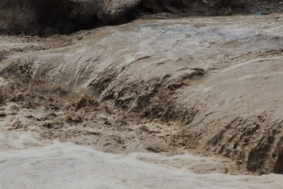 Фото: Getty Images