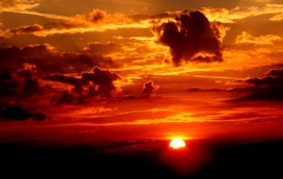 Фото: Открытые источники