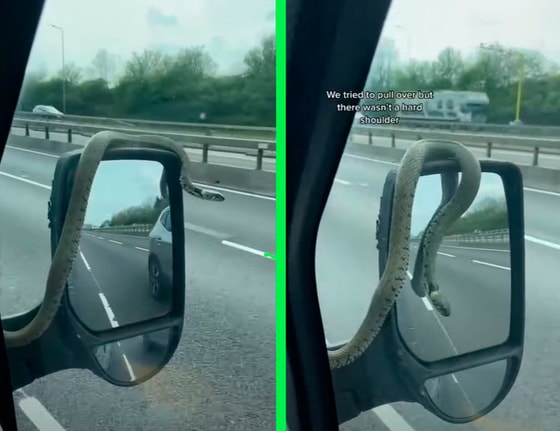 Кадры из видео