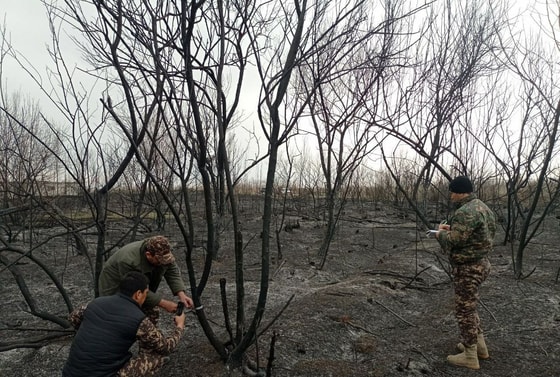 Фото: Министерство природных ресурсов