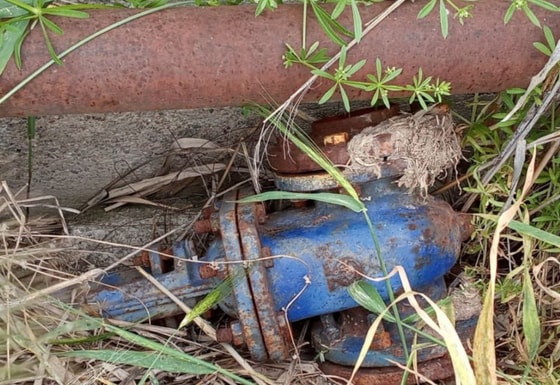 Фото: Департамент при Генпрокуратуре