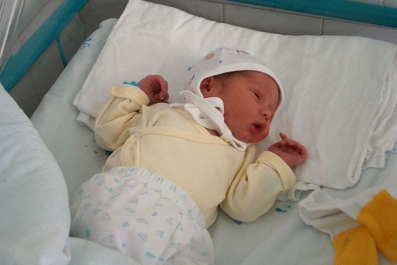 Фото: Открытые источники