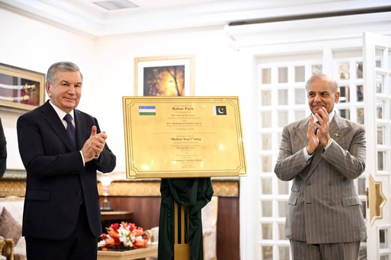 Фото: Пресс-служба президента