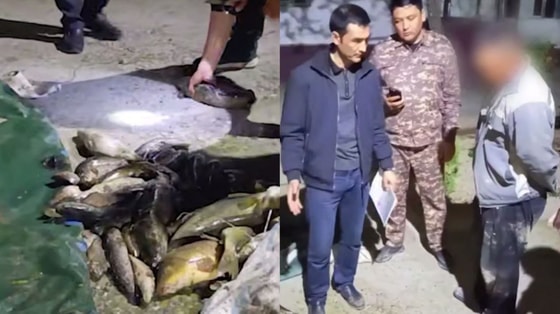 Кадры из видео