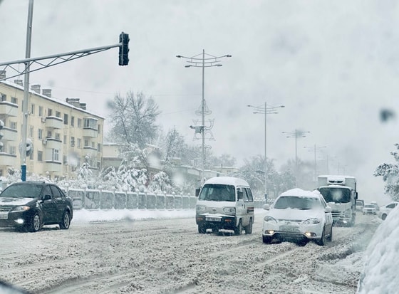 Фото: Яндекс