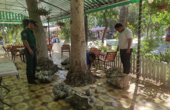 Фото: Госкомэкологии