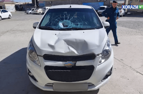 Кадр из видео